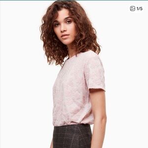 ARITZIA Wilfred Tarascon T-Shirt